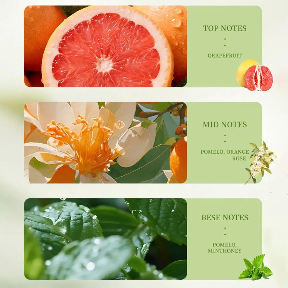 Grapefruit Perfume Women Fresh Citrus Scent Long Lasting Fruity Fragrance Light Daily Wear Eau De Parfum For Dating Office